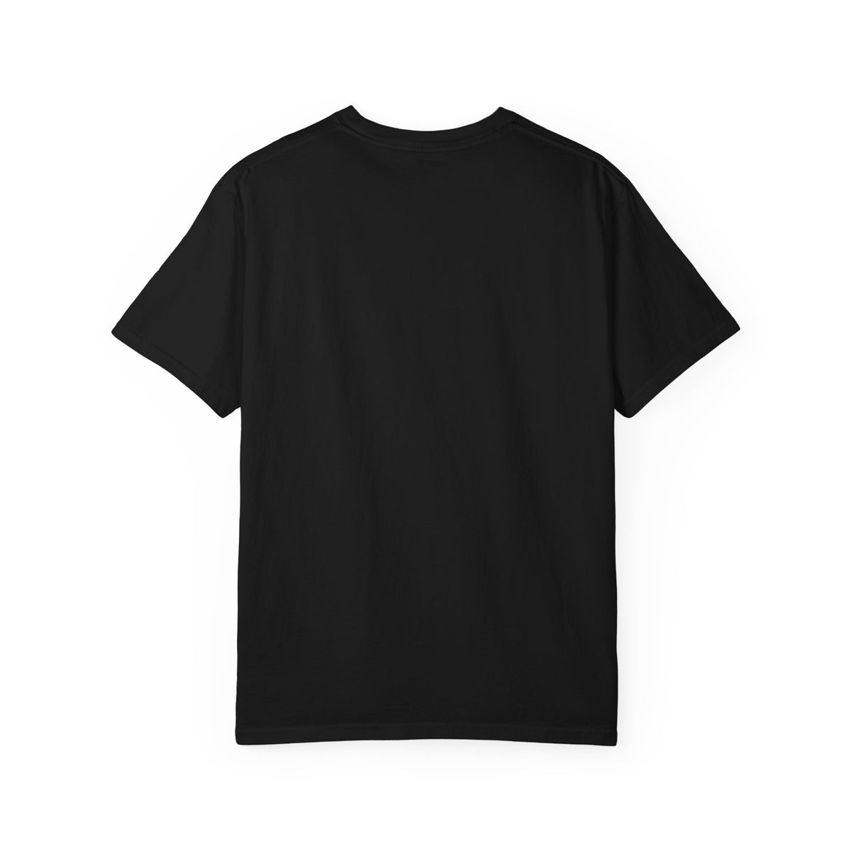ZAQVE Orbit Signature Garment-Dyed Tee — product view